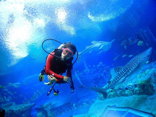 潛在水里，學(xué)做一條靜靜的魚(yú)