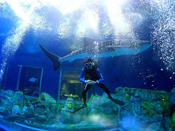 潛在水里，學(xué)做一條靜靜的魚(yú)