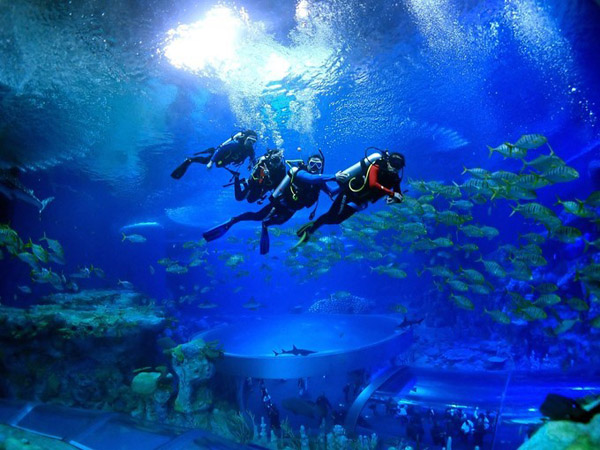 潛在水里，學(xué)做一條靜靜的魚(yú)