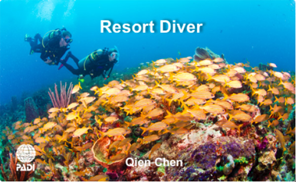 12/12正式上線！PADI 最新課程【休閑潛水員Resort Diver】 丨 一天拿證，潛遍全球