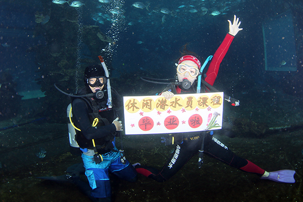 12/12正式上線！PADI 最新課程【休閑潛水員Resort Diver】 丨 一天拿證，潛遍全球