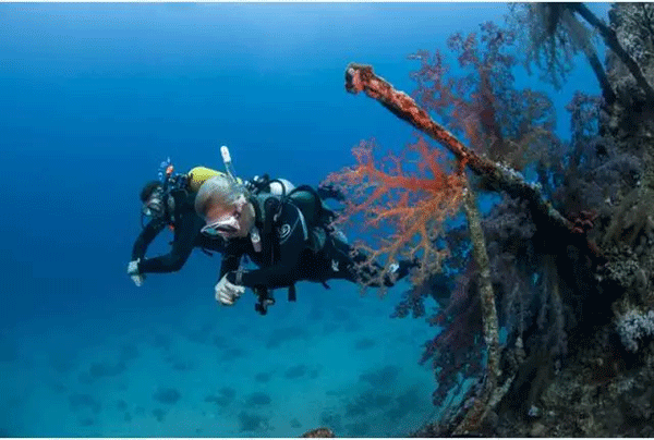 成為潛水員之前的你，是不是也問(wèn)過(guò)這些問(wèn)題？