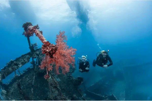 成為潛水員之前的你，是不是也問(wèn)過(guò)這些問(wèn)題？