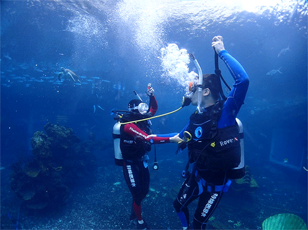 潛水常見問題，原來潛水沒你想的那么難