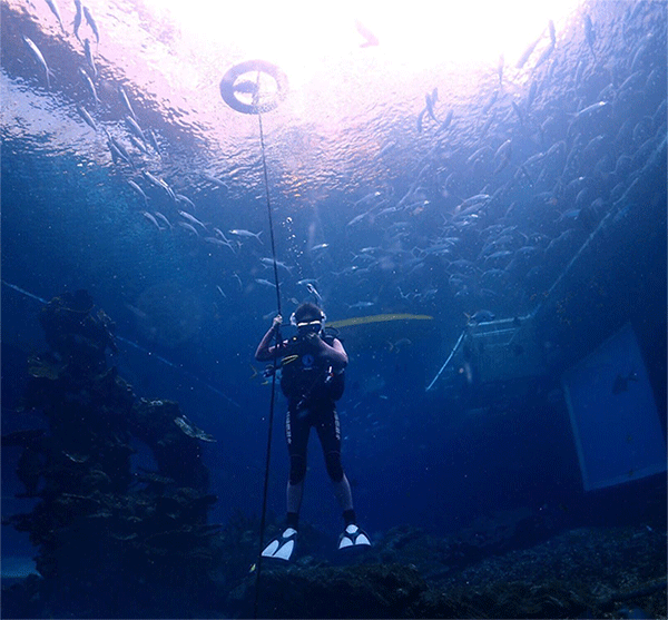 潛水常見問題，原來潛水沒你想的那么難