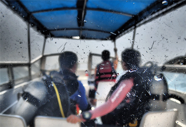 潛水常見問題，原來潛水沒你想的那么難