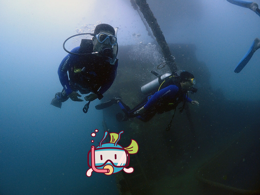 除了俯瞰大地的飛翔，還有潛入海底的翱翔。
