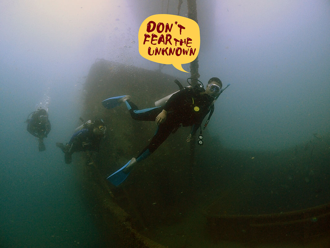 除了俯瞰大地的飛翔，還有潛入海底的翱翔。