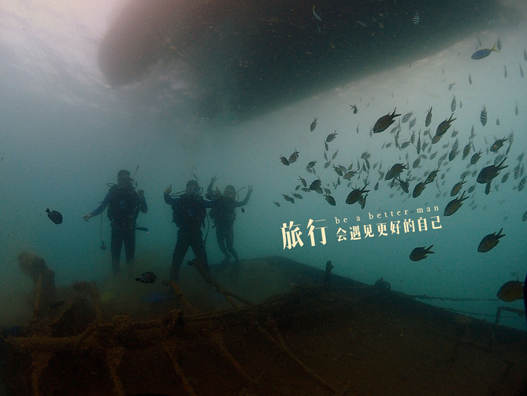 除了俯瞰大地的飛翔，還有潛入海底的翱翔。