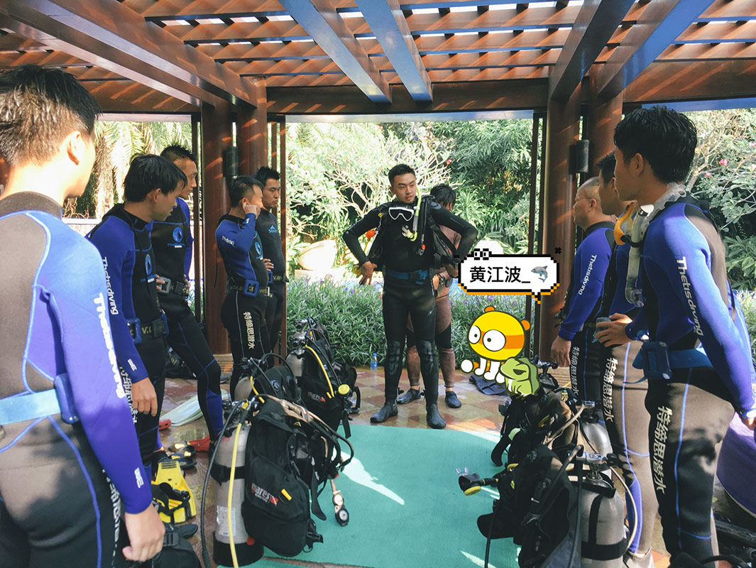 除了俯瞰大地的飛翔，還有潛入海底的翱翔。