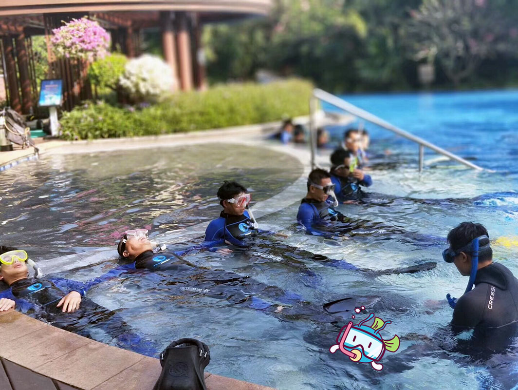 除了俯瞰大地的飛翔，還有潛入海底的翱翔。