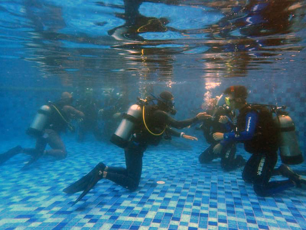 除了俯瞰大地的飛翔，還有潛入海底的翱翔。