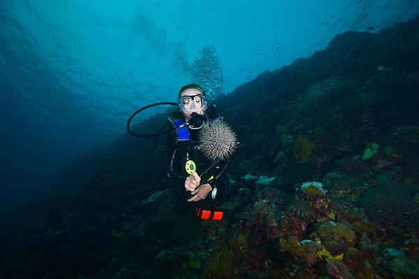 什么是耳壓平衡？